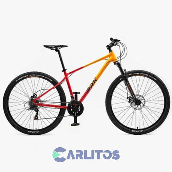 Bicicleta Prk Todo Terreno Rod.29" Con Disco Mtb Blaze