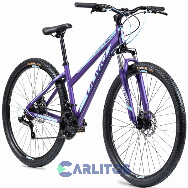 Bicicleta Olmo Todo Terreno Rod.29" Wish 295+ Con Disco