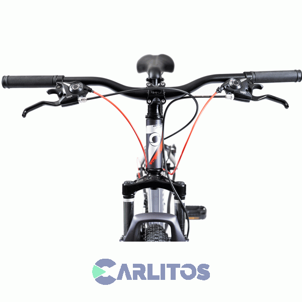 Bicicleta Olmo Todo Terreno Rod.29" Wish 295+ Con Disco