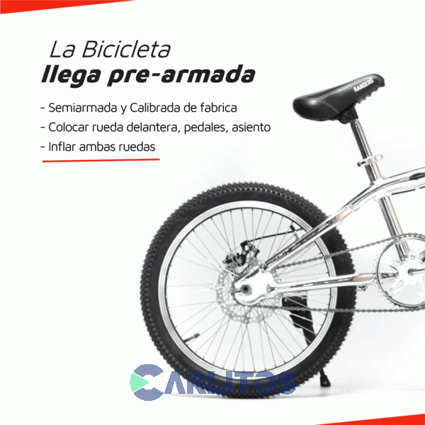 Bicicleta Randers R 20" Freestyle Twirly Aluminio Cromado