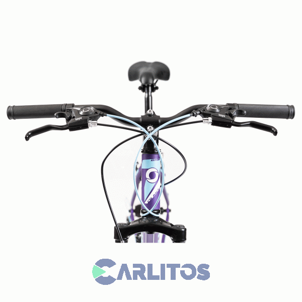 Bicicleta Olmo Todo Terreno Rod.26" Wish 265 1BO1093 Violeta Con Celeste