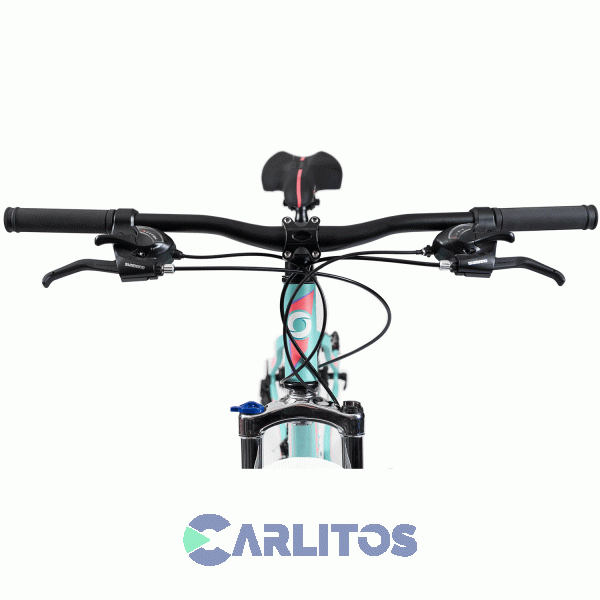 Bicicleta Olmo Todo Terreno Rod.29" Flash 295+ Con Disco 1BO1084 Turqueza Con Rosa