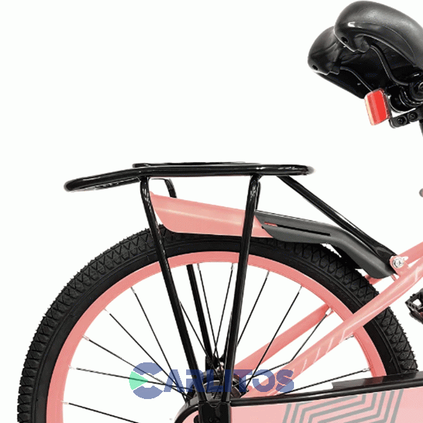 Bicicleta Randers Paseo R 20" Indhar  Lila