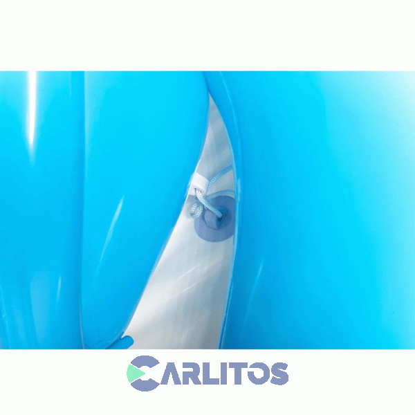 Pileta Inflable Juego Arco Iris Bestway 2.57 X 1.45 Cm 53092