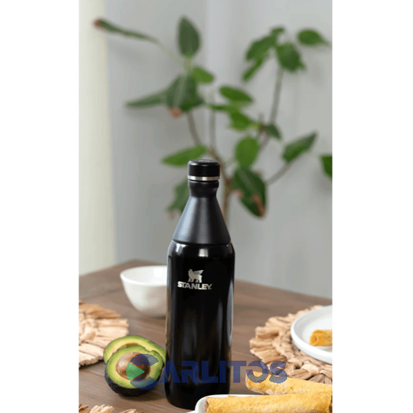 Botella De Acero Inoxidable Stanley Slim Bottle 0.591 Litros Black 2.0