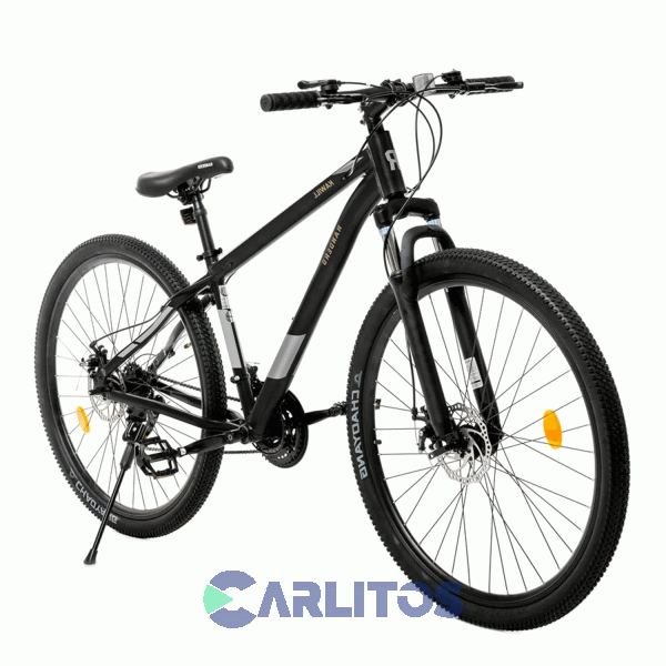Bicicleta Randers Todo Terreno R 29 Kawill Bike-29-la -Talle L Negro Y Gris