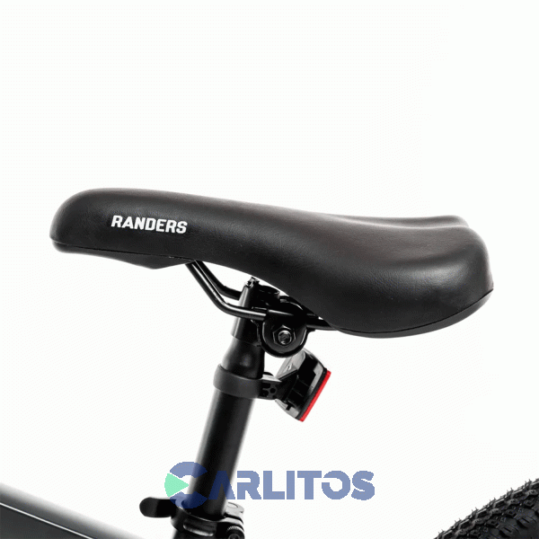 Bicicleta Randers Todo Terreno R 29 Kawill Bike-29-la -Talle L Negro Y Gris