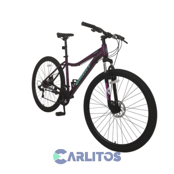 Bicicleta Todo Terreno Disco Mtb 29" Graviti Dabom Vv Violeta Y Verde