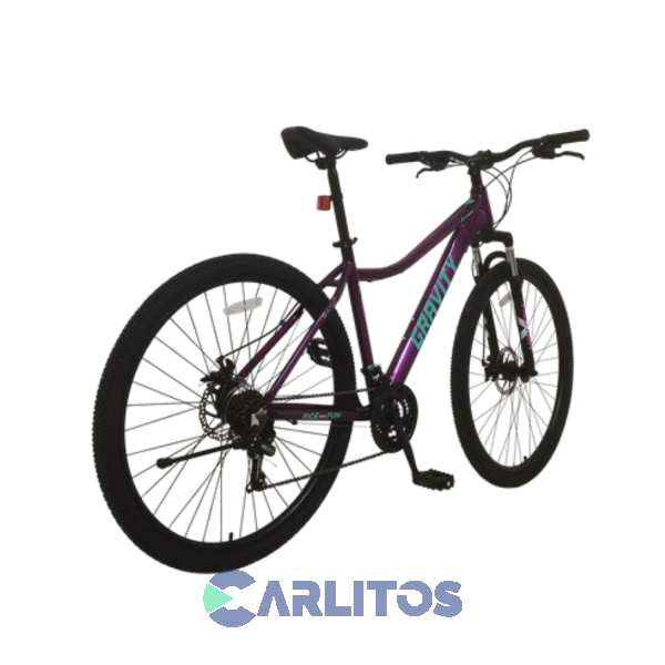 Bicicleta Todo Terreno Disco Mtb 29" Graviti Dabom Vv Violeta Y Verde