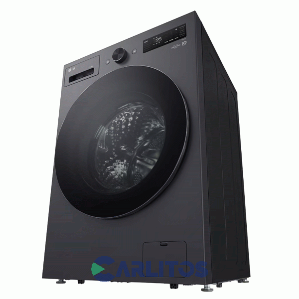 Lavasecarropa LG Inverter 15+8 Kg 1200 Rpm Gris Wd15egntspg