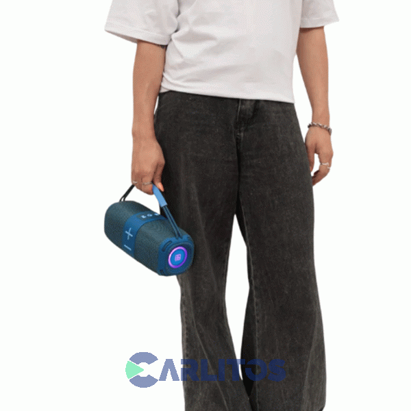 Parlante Portatil Kazz Con Bluetooth 10 Watts Rms Fritz