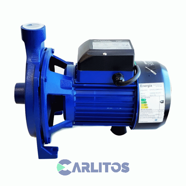 Bomba Centrifuga Gamma Select 90 Litros/Minuto 3/4 HP G2784AR