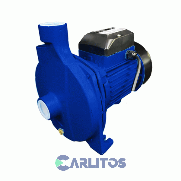 Bomba Centrifuga Gamma Select 90 Litros/Minuto 3/4 HP G2784ar