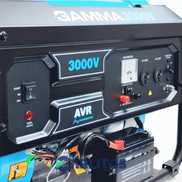 Generador Electrico Gamma Monofasico 3000 Watts Ge3480ar