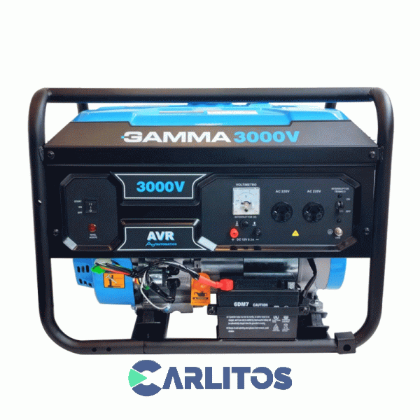 Generador Electrico Gamma Monofasico 3000 Watts Ge3480ar
