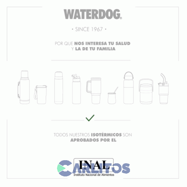 Botella De Acero Inoxidable Waterdog 600 Cc Buho600pg Verde Paraiso