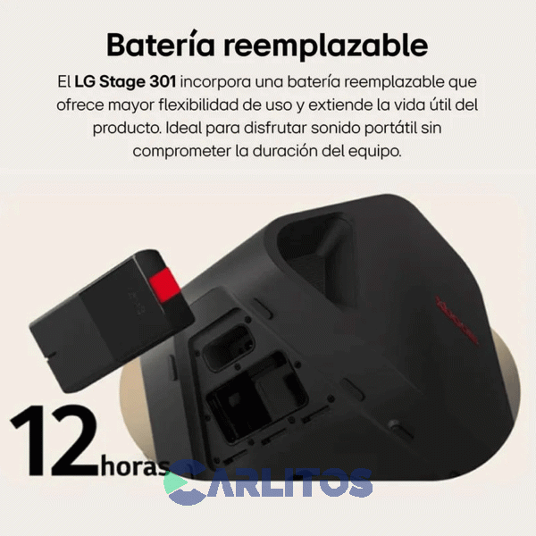 Parlante Portatil Lg Con Bluetooth Y Bateria 120 Watts Stage301
