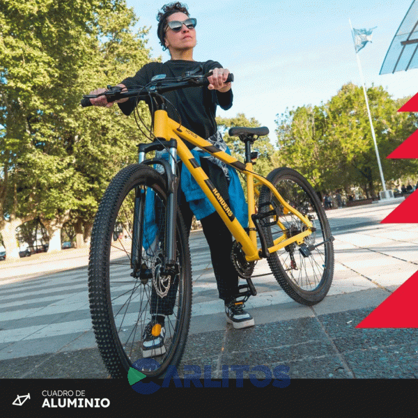 Bicicleta Randers Todo Terreno Horus Disco Mtb 29" Bke-2129-Md - Talle M Amarillo Con Negro