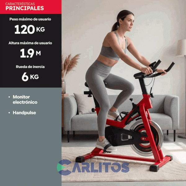 Fitness Bicicleta Indoor Spinning Randers  Arg-845sp