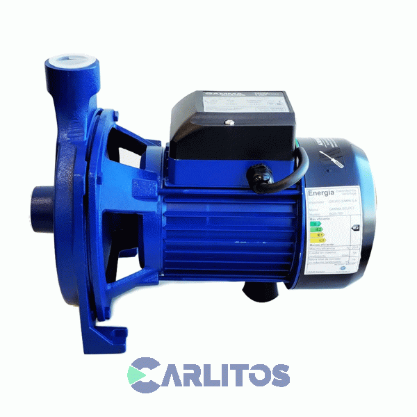Bomba Centrifuga Gamma Select 1 HP 96 Litros/Minuto G2785ar