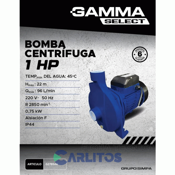 Bomba Centrifuga Gamma Select 1 HP 96 Litros/Minuto G2785ar
