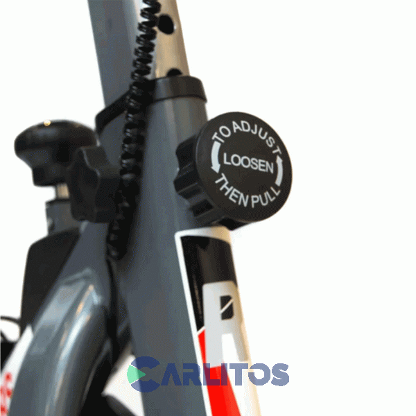 Fitness Bicicleta Indoor Spinning Randers Arg-874sp