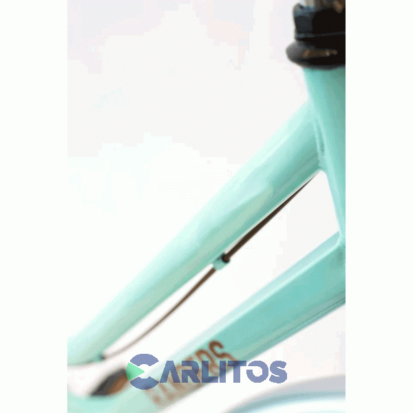 Bicicleta Randers Urbana Dama Vintage Aluminio R 26" Bke-136-B Verde