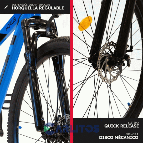 Bicicleta Randers Todo Terreno Horus Disco MTB 29" Bke-2129-Md - Talle M Azul Con Negro
