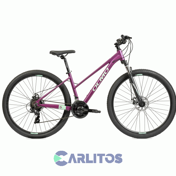 Bicicleta Olmo Todo Terreno R29 Flash 295 1bo1071 Talle 16-Violeta Con Celeste