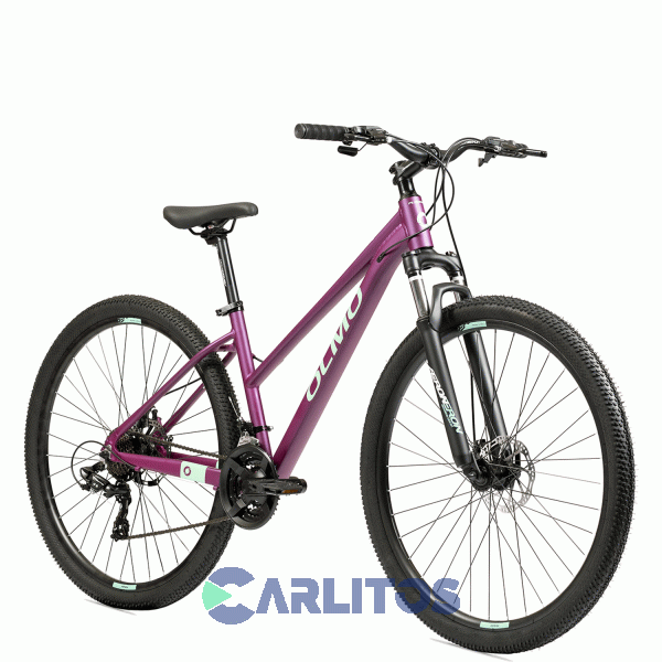 Bicicleta Olmo Todo Terreno R29 Flash 295 1bo1071 Talle 16-Violeta Con Celeste