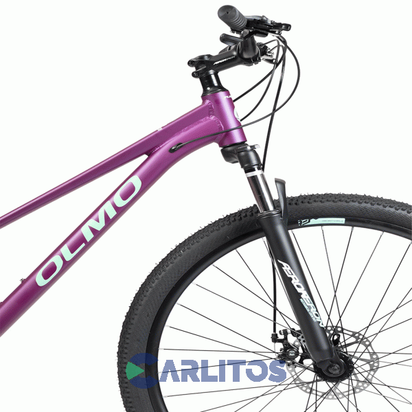 Bicicleta Olmo Todo Terreno R29 Flash 295 1bo1071 Talle 16-Violeta Con Celeste