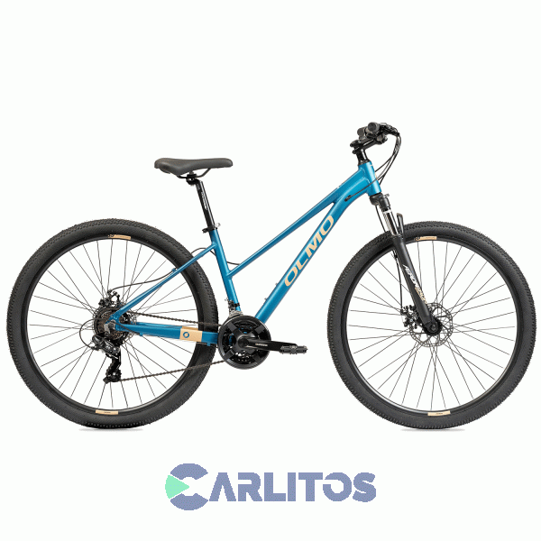 Bicicleta Olmo Todo Terreno R29 Flash 295 1bo1071 Talle 16-Petroleo Con Salmon