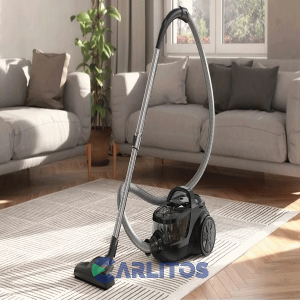 Aspiradora Sin Bolsa Electrolux 2200 Watts Eas41