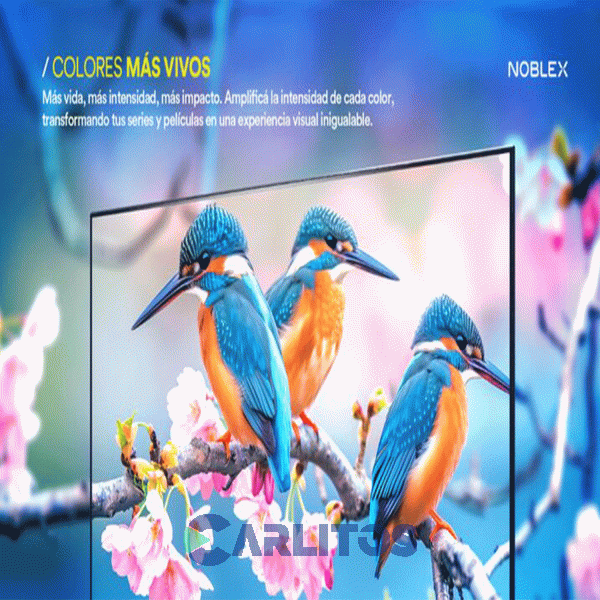 Smart TV Led 32" HD Noblex Con Roku Tv Db32x3010