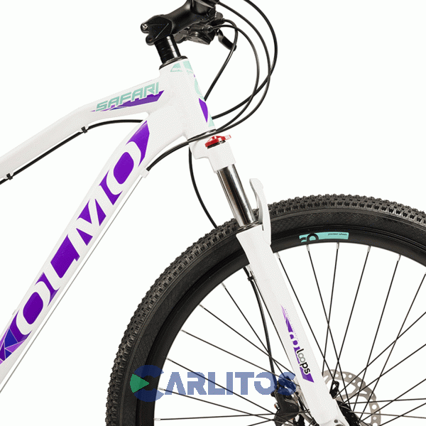 Bicicleta Olmo Todo Terreno Rod.29" Safari 295 + Con Disco Hidráulico