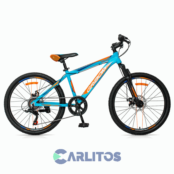 Bicicleta Gribom Todo Terreno Rod.24" Sherwood Mtb Con Disco 2913v