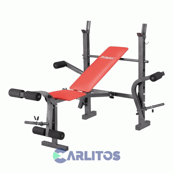 Fitness Banco De Pesas Plegable Randers Arg-140