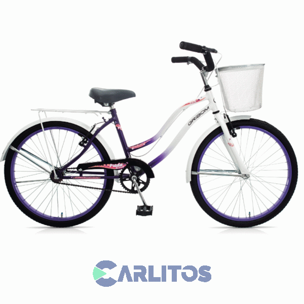 Bicicleta Gribom Urbana Rod.24" Dama De Lujo Prado