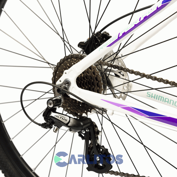 Bicicleta Olmo Todo Terreno Rod.29" Safari 295 + Con Disco Hidráulico