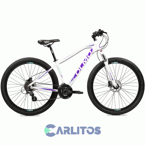 Bicicleta Olmo Todo Terreno Rod.29" Safari 295 + Con Disco Hidráulico
