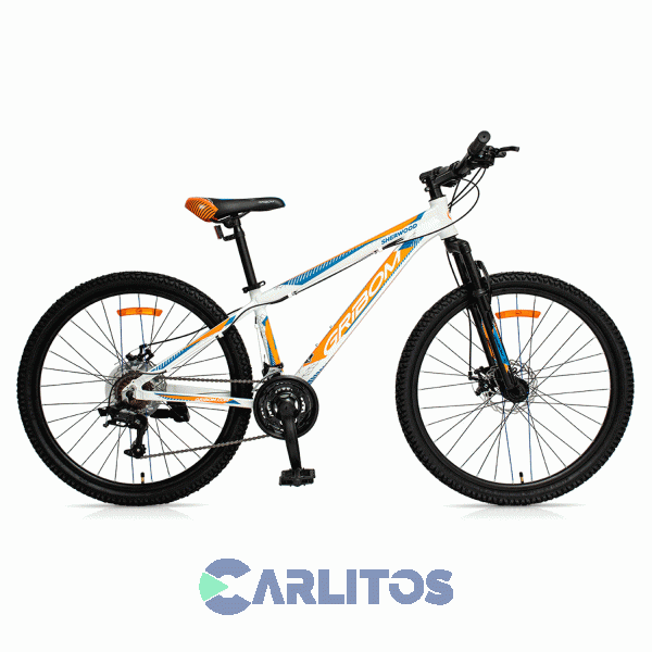 Bicicleta Gribom Todo Terreno Rod.26" Sherwood Con Disco 2912xsv