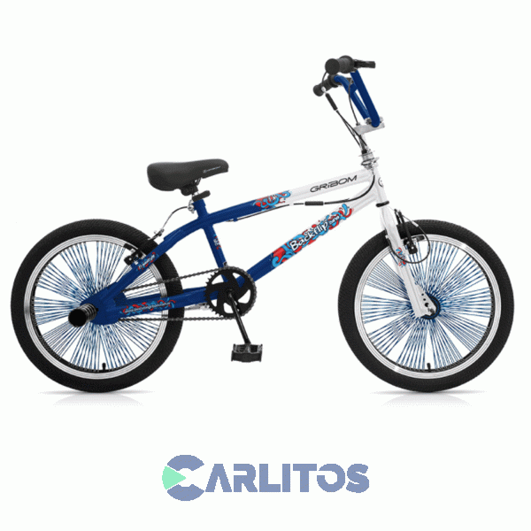 Bicicleta Gribom Freestyle Rod.20" Unisex Pintada 3810v