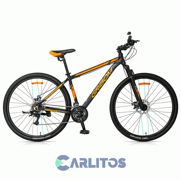 Bicicleta Gribom Todo Terreno Rod.29" Aspen Dama-Varon Con Disco 2953m