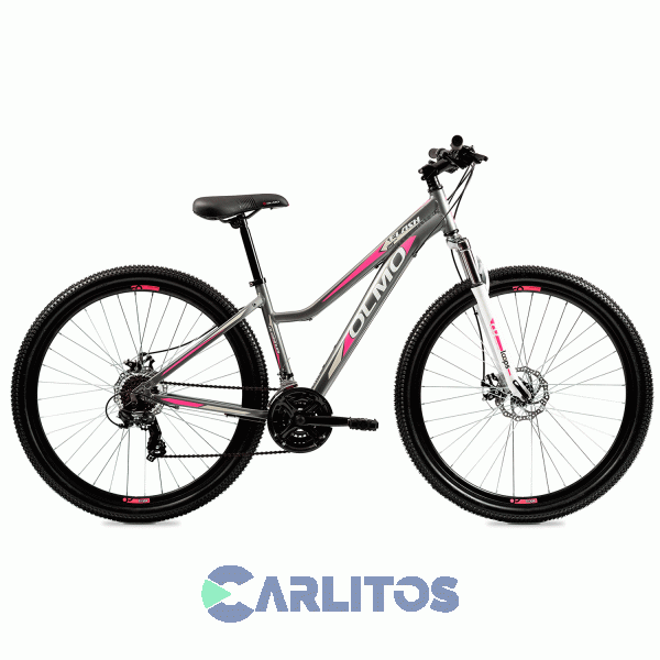 Bicicleta Olmo Todo Terreno Rod.29" Flash 295+ Con Disco