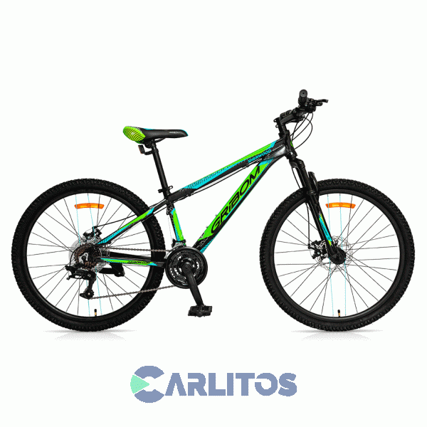 Bicicleta Gribom Todo Terreno Rod.26" Sherwood Con Disco 2912xsv