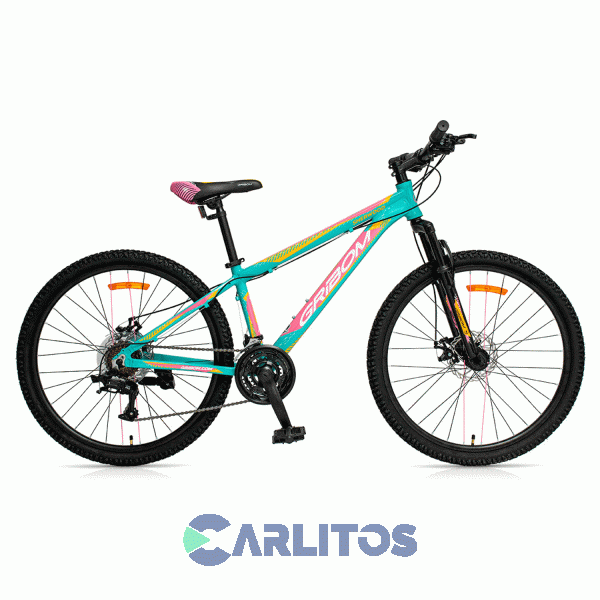 Bicicleta Gribom Todo Terreno Rod.26" Sherwood Dama Con Disco 2912xsd