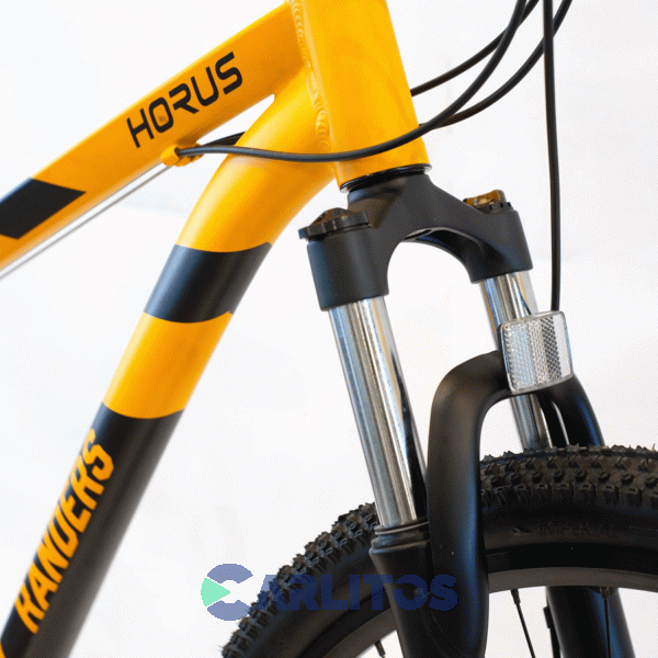 Bicicleta Randers Todo Terreno Rod.29" Horus Con Disco Bke-2129-m/l