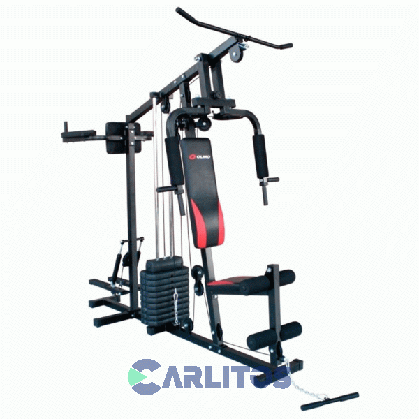 Fitness 54 Multigym 2 Estaciones Olmo