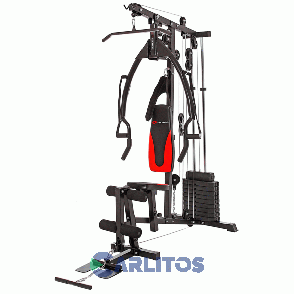 Fitness 74 Multigym + Ab Strap Olmo