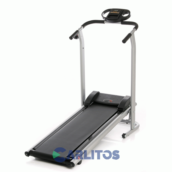 Fitness 31 Cinta Magnética Olmo